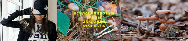 метамфетамин Арсеньев