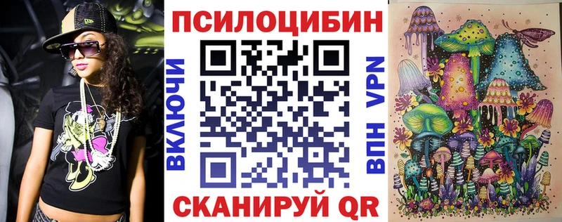 Галлюциногенные грибы Psilocybe  Купить где  Брянск 